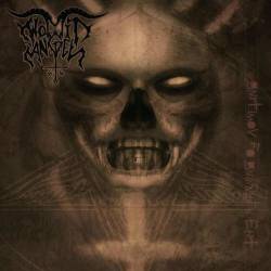 Wömit Angel : Gnitimov Fo Gninnigeb Eht Wömit Angel : Gnitimov Fo Gninnigeb Eht